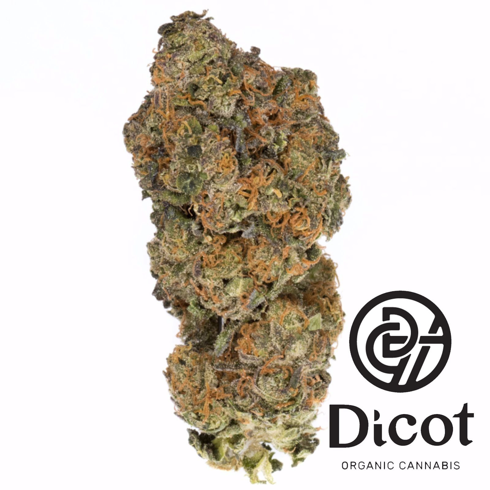Dicot Farms Dawg Cookies Leafly